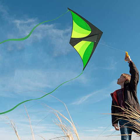 What is the Best Type of Kite for Beginners?